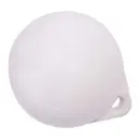 vlaggewicht kees wit.webp